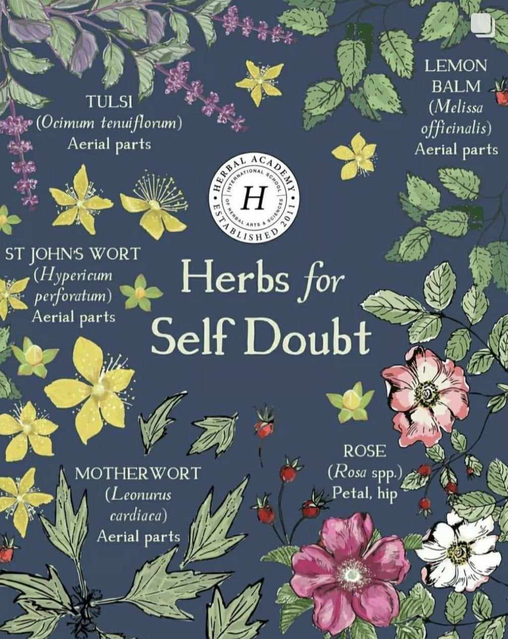 Herbs for Self Doubt